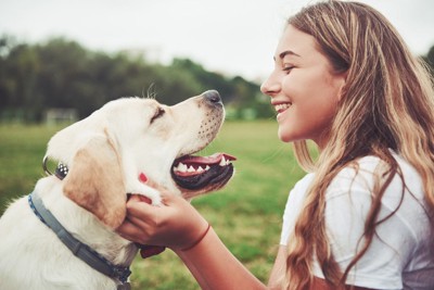 見つめ合う犬と少女