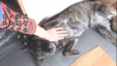 ハルヱちゃんの反省の仕方3