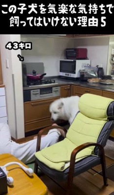 「あら？ちょっと強すぎたかしら？」