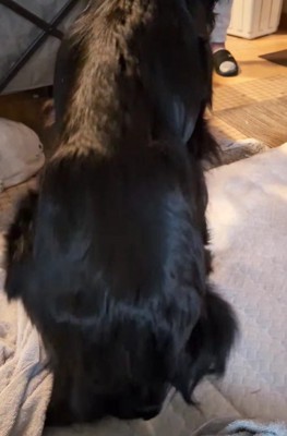 自分の足で立ち上がり…
