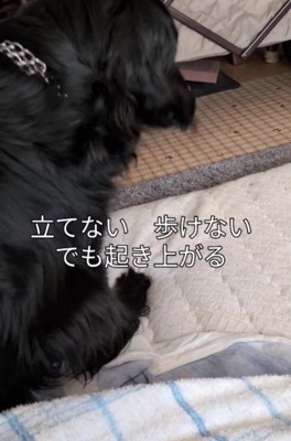 3日間寝込んだ