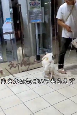スルーされちゃった！？