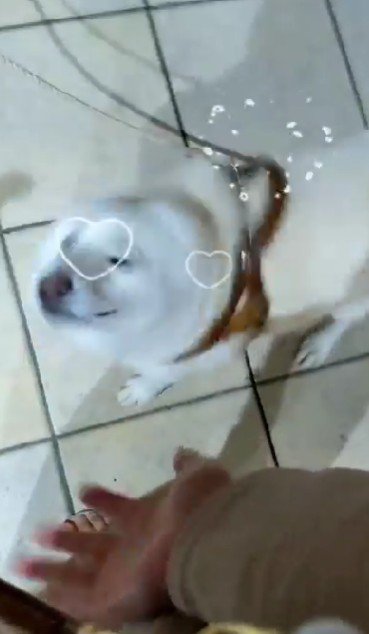 大歓迎する姿にホッコリ♡