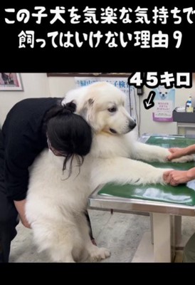 飼い主さんも命懸け…！！