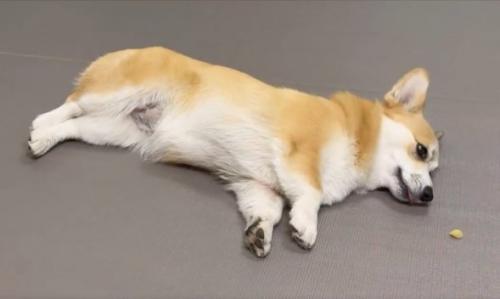 横着をして