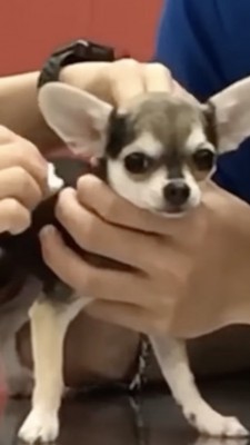 怖い