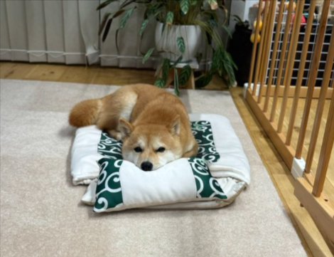 上手に