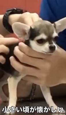 初めての注射