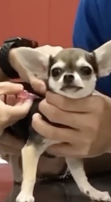 「！？」