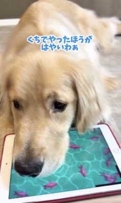 気が付いてしまった…