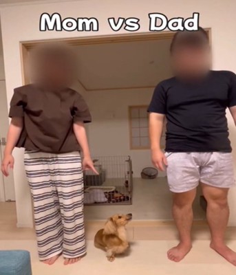 2人と犬1