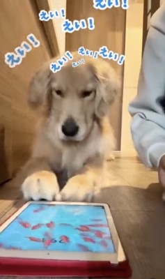 勢い重視！！