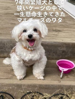 笑顔あふれる姿に変貌！！