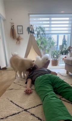 飼い主さんが寝ていた時のエマくん＆ハルくん4