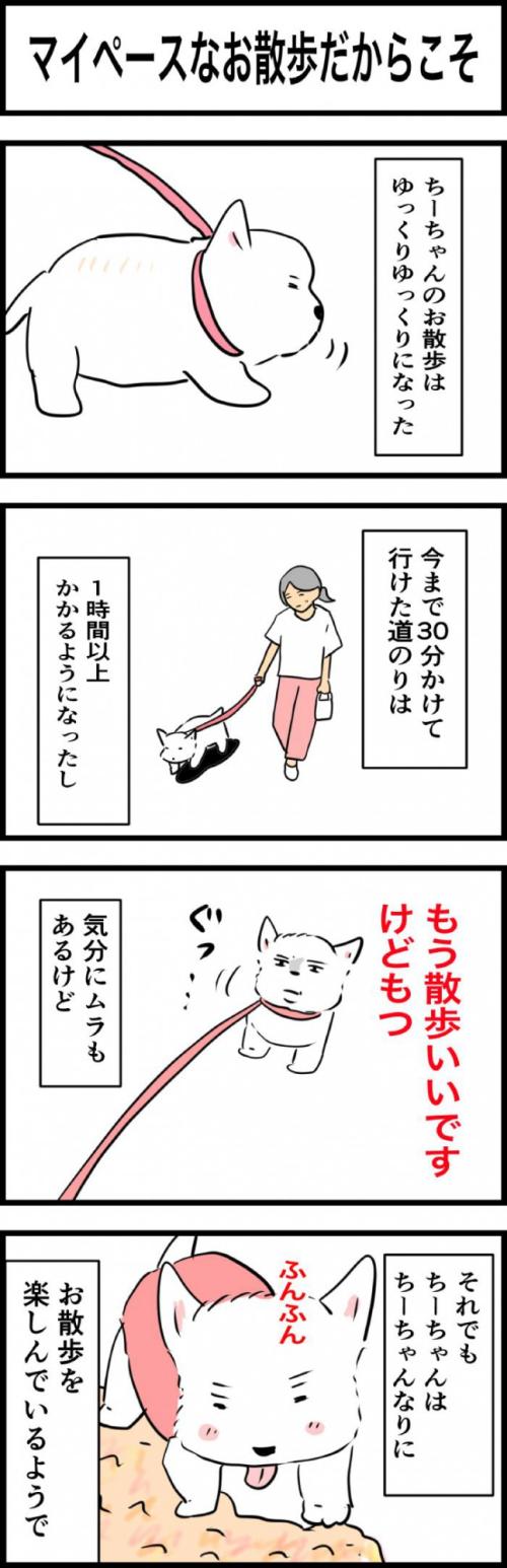 ちーちゃんですけどもっ【第318話 1