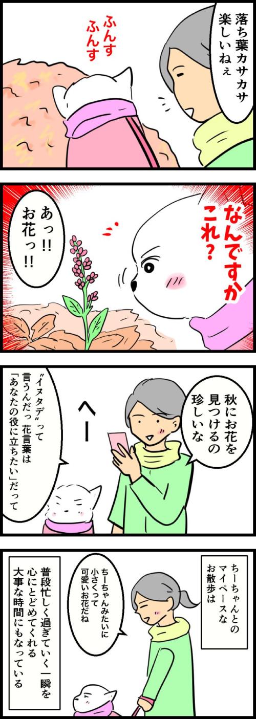 ちーちゃんですけどもっ【第318話】2