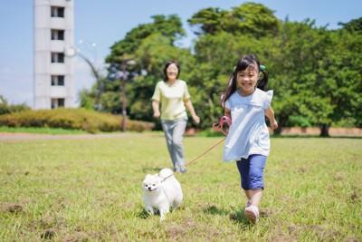少女と元気に散歩する犬