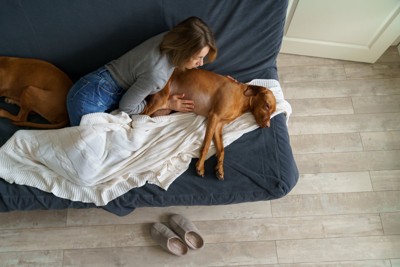 犬を心配する女性