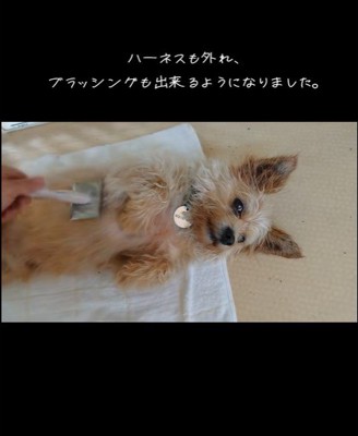 ネオくんが幸せを掴むまで4