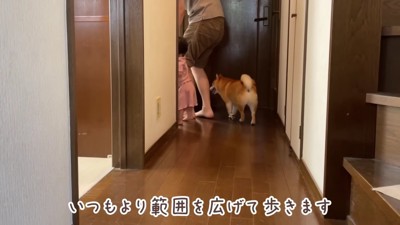 廊下を行ったり来たり♪