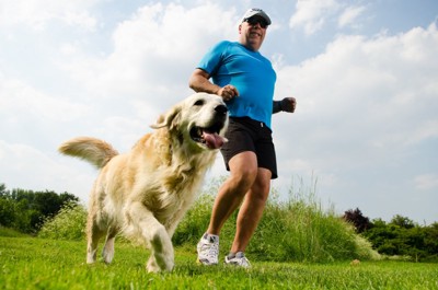 一緒に運動する犬と男性