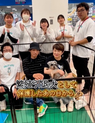 祝福される犬