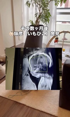 ママのお腹に赤ちゃんが…！