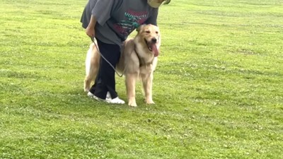 飼い主さんとトレーニングするアトムくん