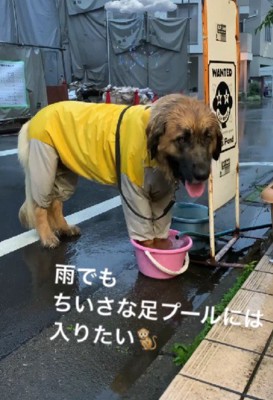 ギャップにキュン死！！
