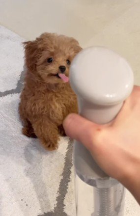 可愛すぎてキュン！
