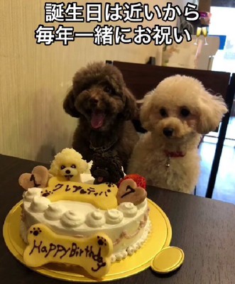 お誕生日会は盛大に！！