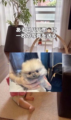 衝撃の出会い