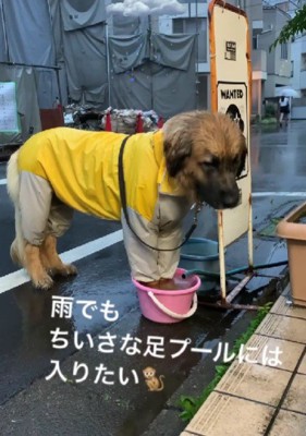 「あ～冷たい♪」
