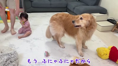 「え…お昼寝…？」