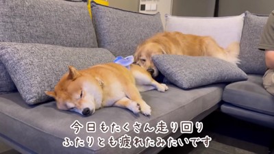 楽しい1日だったね！