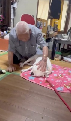 まったり…