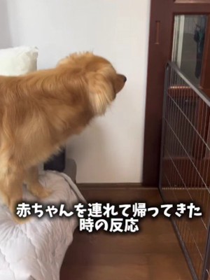パパが帰ってきた！！