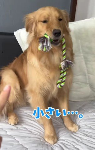 「…」