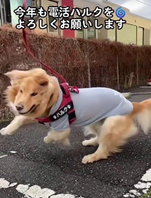 これからの電活にも注目！