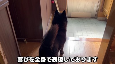 お姉ちゃんが帰ってきた！