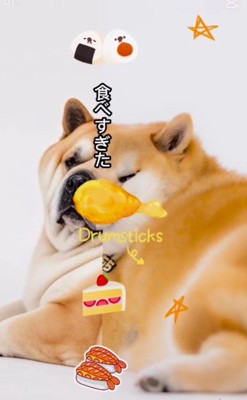 ん？顔が違う…