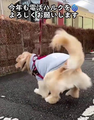 構わない！！