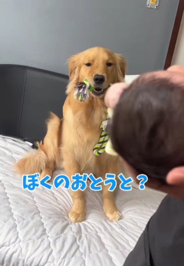 赤ちゃんに気が付いた！！