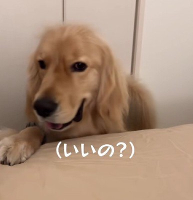「それじゃ遠慮なく…！」