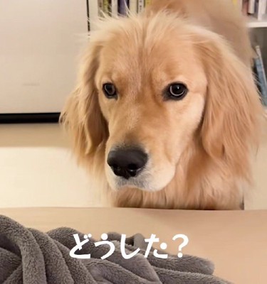 「本当にいいの…？」