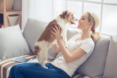 ソファーで見つめ合っている女性と犬