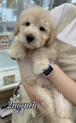 生後2ヶ月