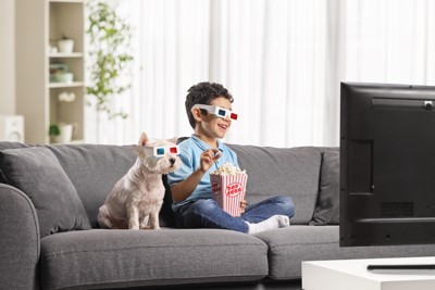3Dメガネをかけてテレビを見る犬と男の子