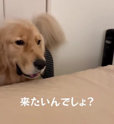 遠慮がちな姿にクスッ