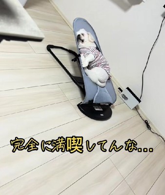 大御所感がスゴイ…！